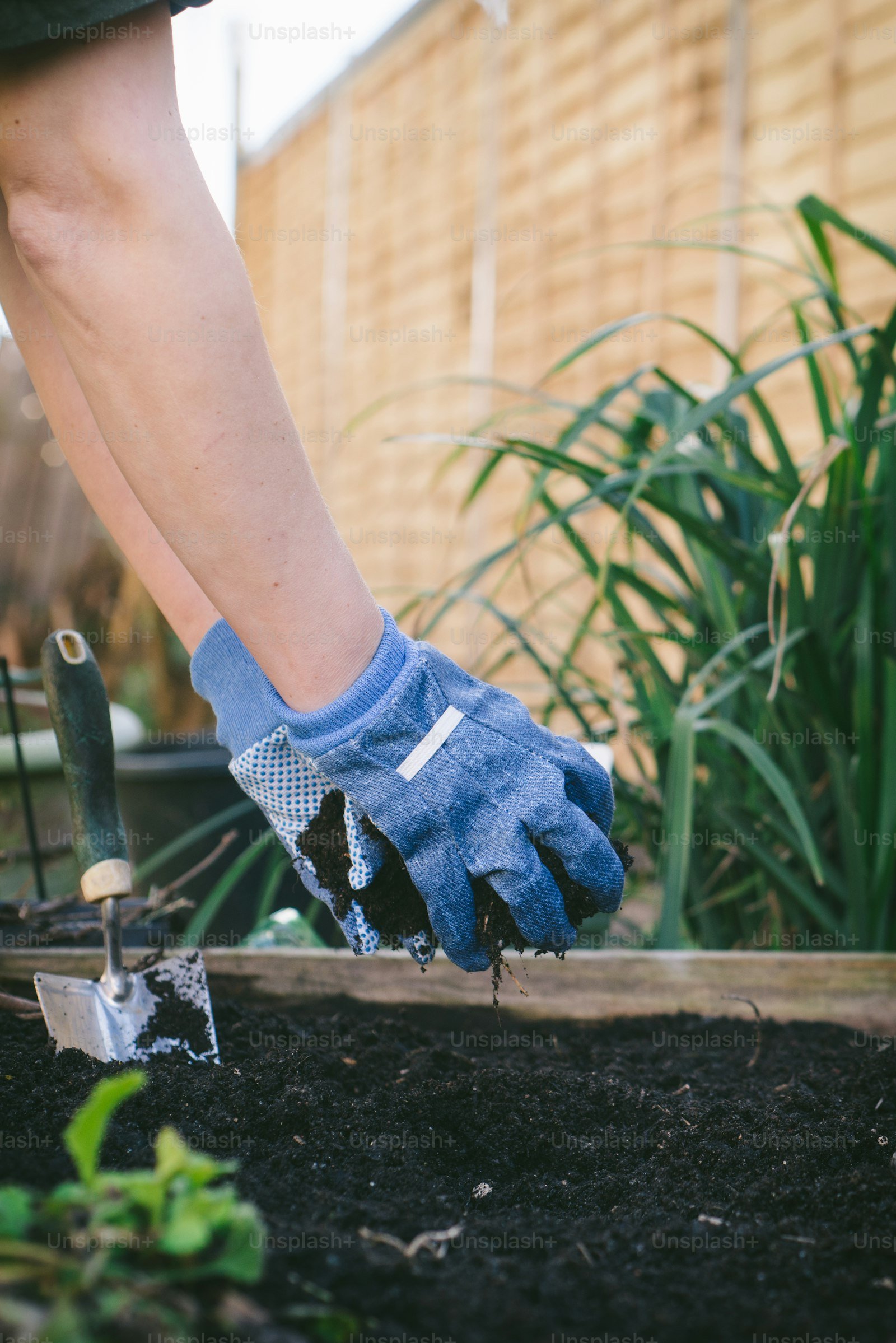 Gardening gloves and tools working in yard soil